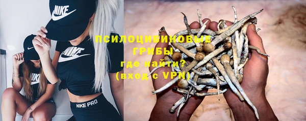 сатива Куйбышев
