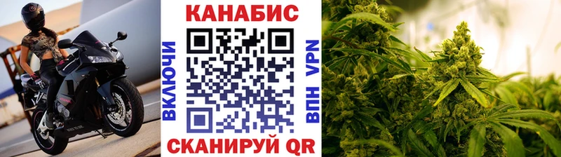 Марихуана гибрид  Сясьстрой 